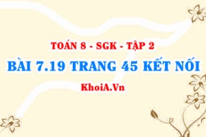Bài 7.19 trang 45 Toán 8 Kết nối tri thức Tập 2